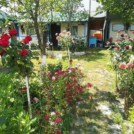 Camping Casuta Mihaela クリシャン エクステリア 写真