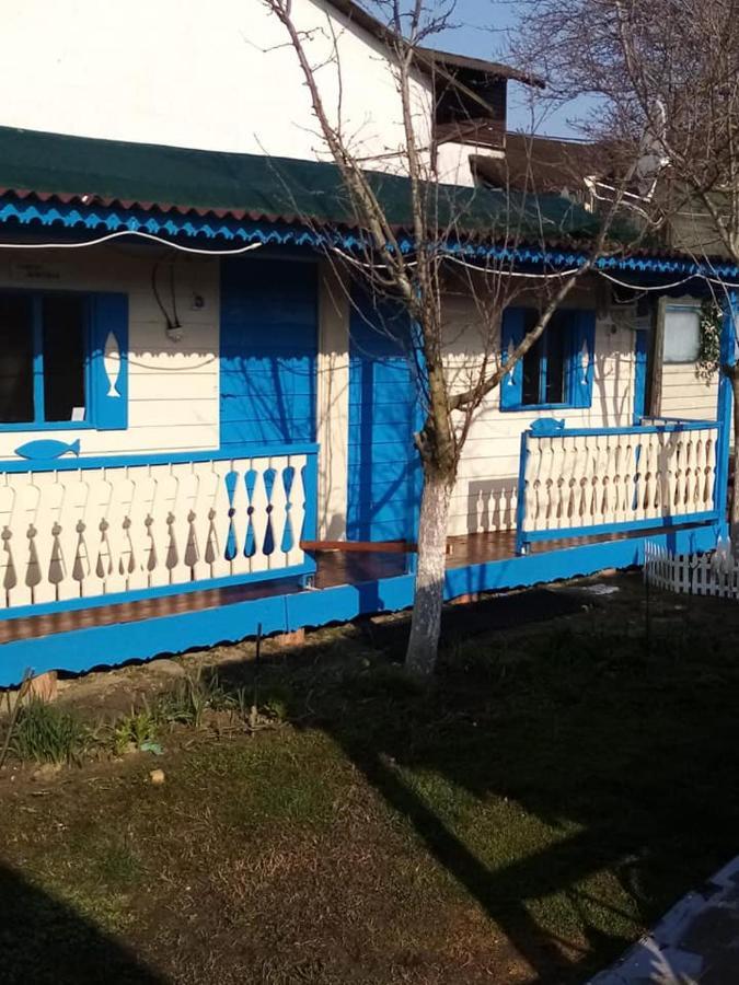 Camping Casuta Mihaela クリシャン エクステリア 写真