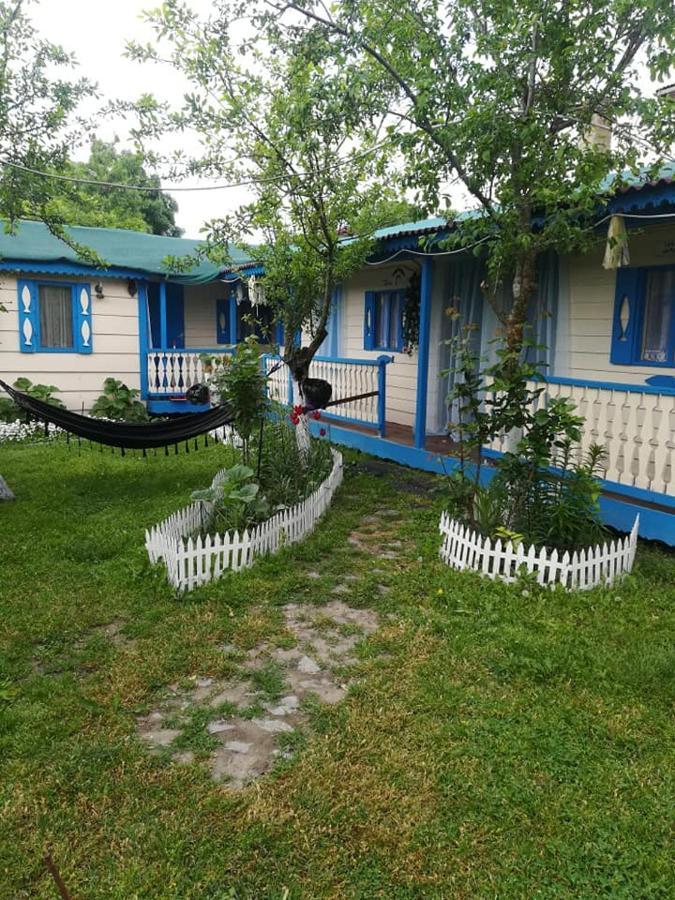 Camping Casuta Mihaela クリシャン エクステリア 写真