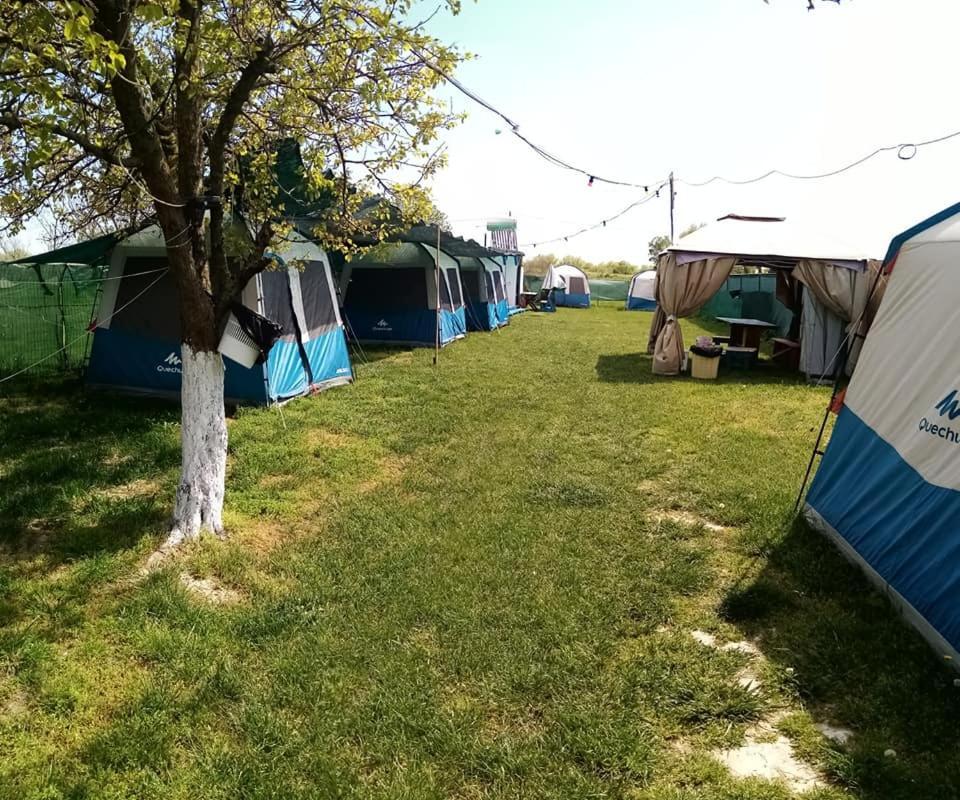 Camping Casuta Mihaela クリシャン エクステリア 写真