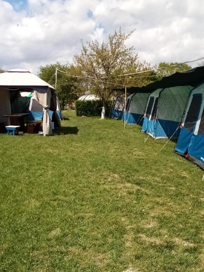 Camping Casuta Mihaela クリシャン エクステリア 写真