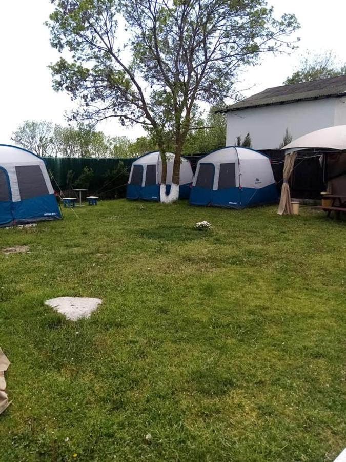 Camping Casuta Mihaela クリシャン エクステリア 写真
