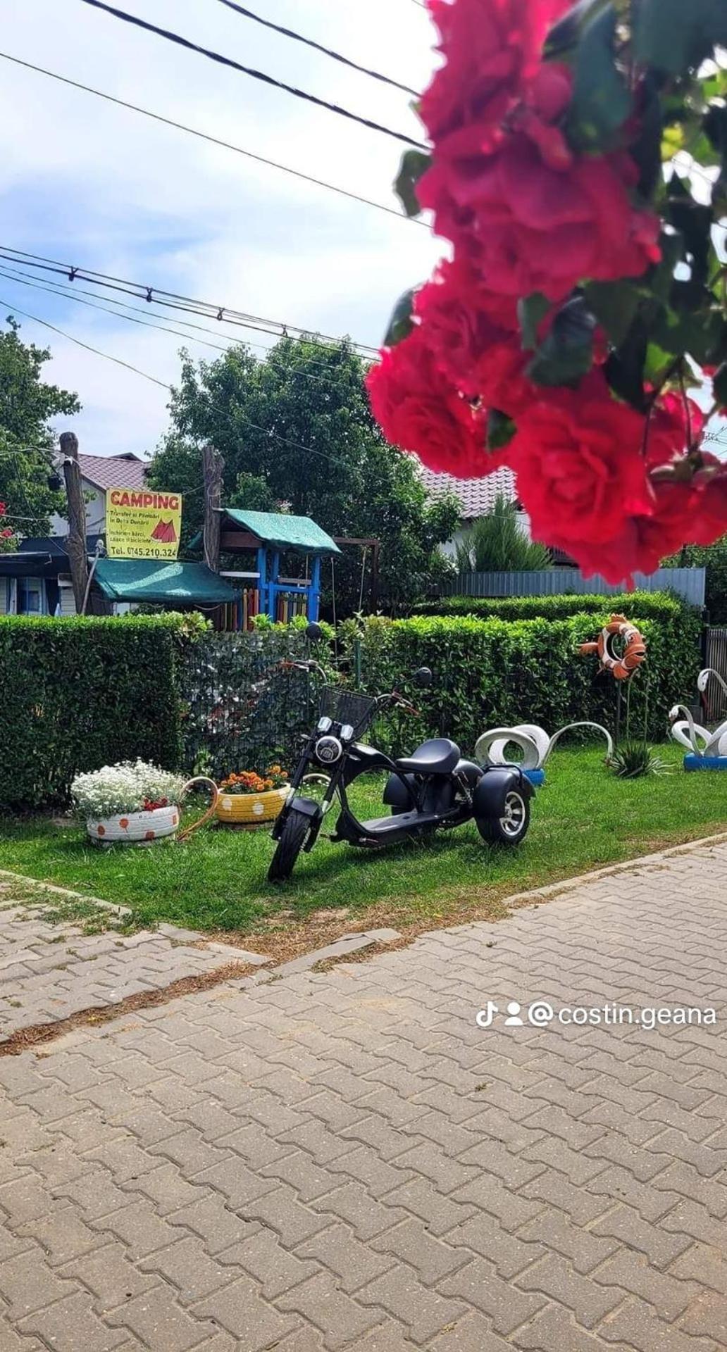 Camping Casuta Mihaela クリシャン 部屋 写真