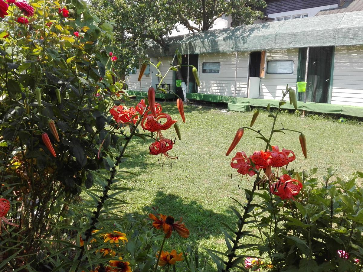 Camping Casuta Mihaela クリシャン エクステリア 写真