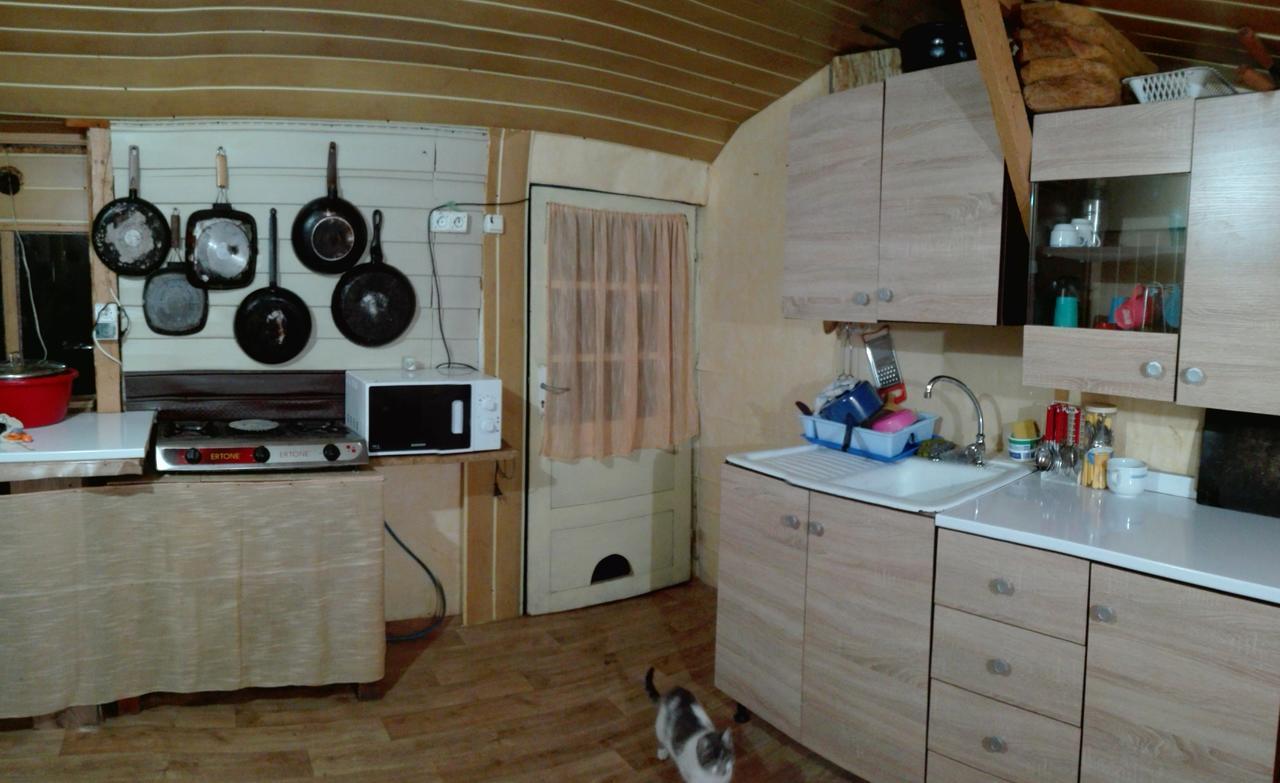 Camping Casuta Mihaela クリシャン エクステリア 写真