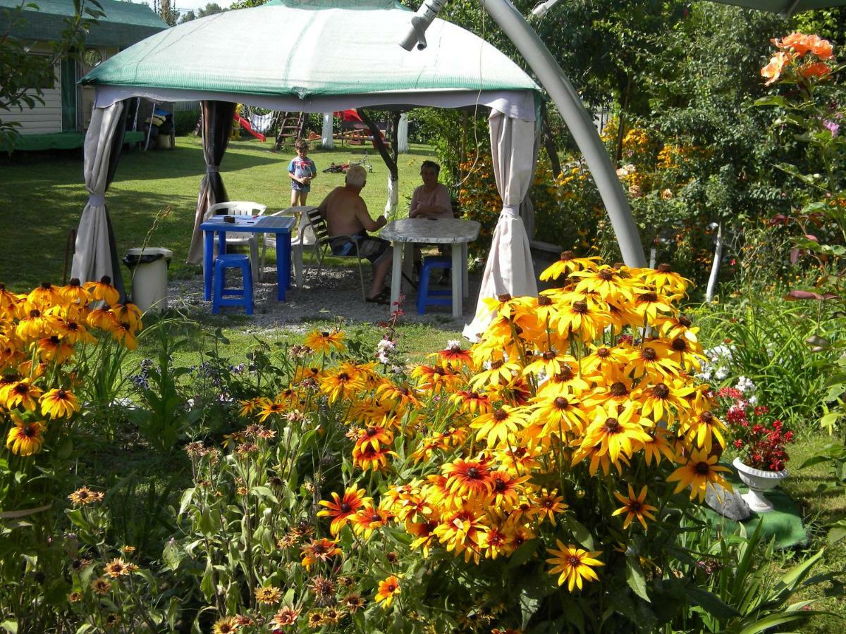 Camping Casuta Mihaela クリシャン エクステリア 写真